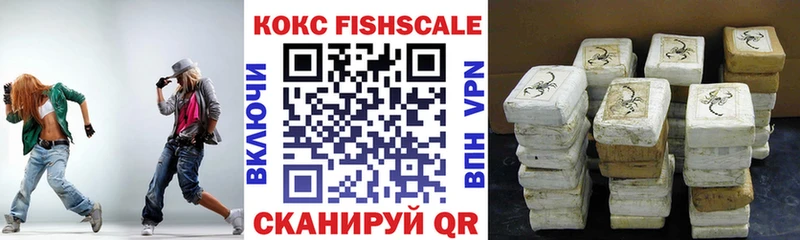 наркота  Петрозаводск  COCAIN Fish Scale 