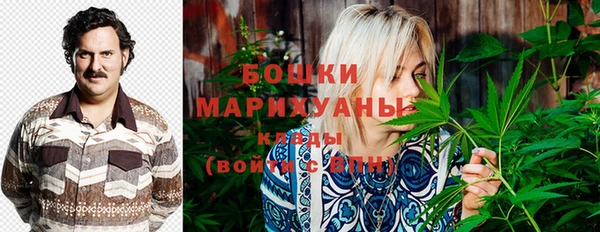 шишки Балабаново