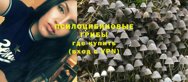 шишки Балабаново